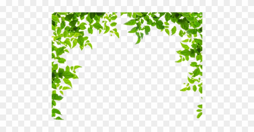 Borders And Frames Leaf Green Clip Art Green Leaves - Leaf Borders And Frames #759197