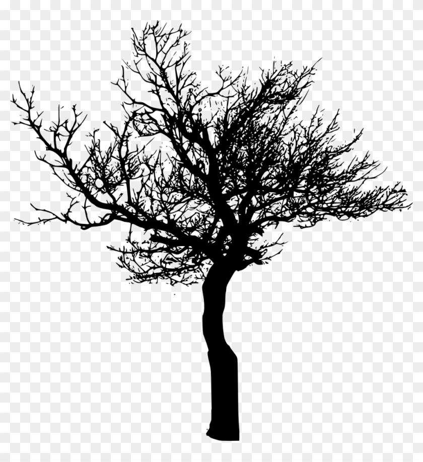 Free Download - Tree Silhouette Transparent Background #759236