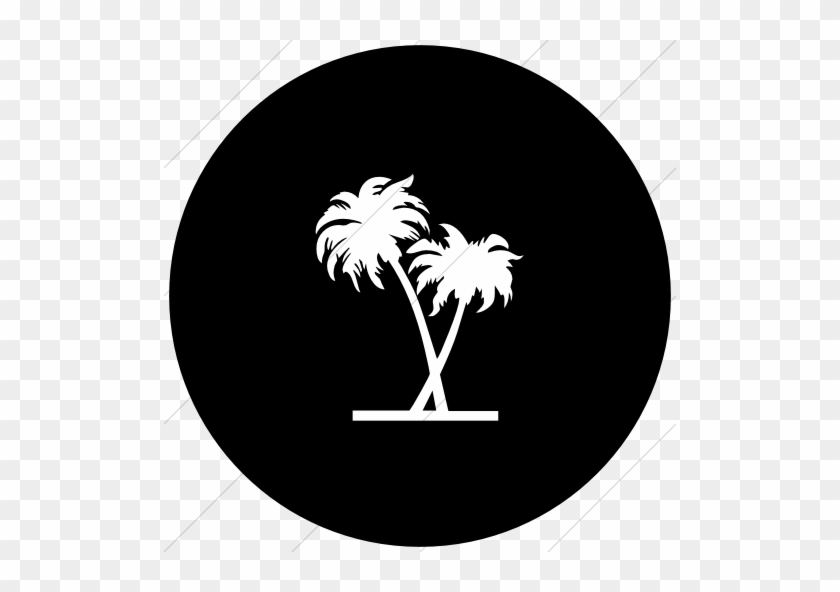 Classica Palm Trees 2 Flat Circle White On Black - Island Cricket #759272