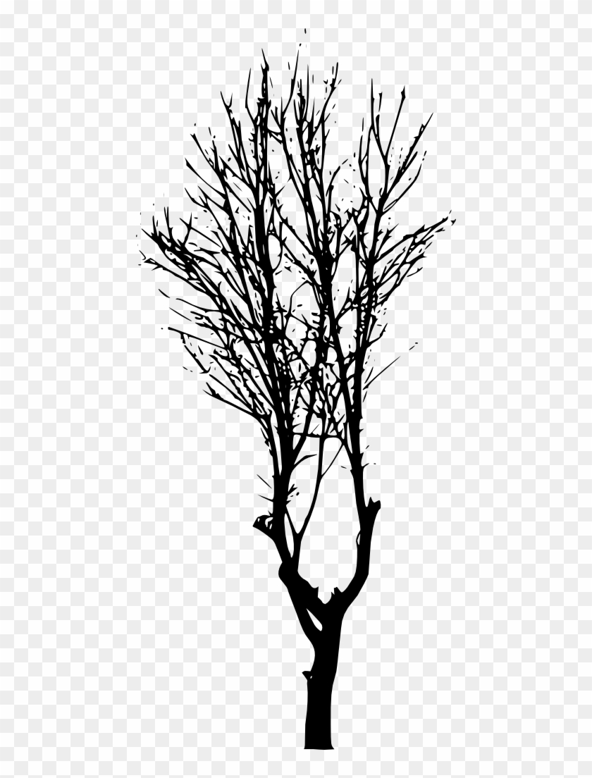 Free Download - Silhouette #759275