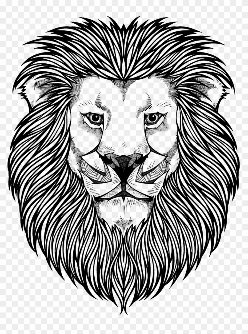 Grow Lion Head Coloring Page Free Transparent PNG Clipart Images