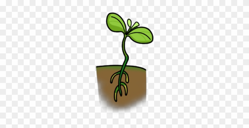 Seedling - Cartoon Lima Bean Plant #759450