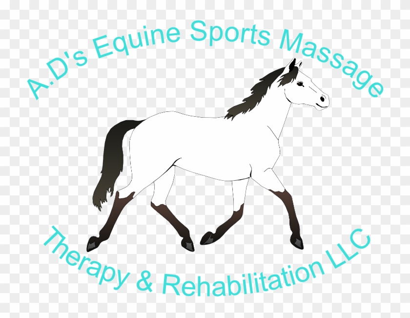 Ad's Equine Sports Massage, Therapy And Rehabilitation, - Mustang Horse Coloring Pages #759528