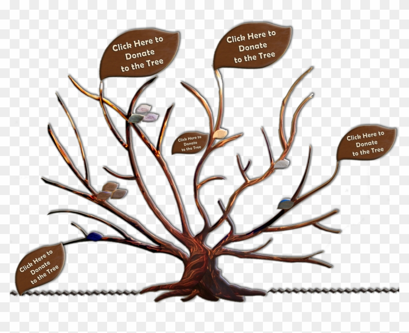 The - John Muir Family Tree #759635