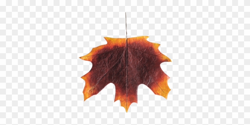 Herbstblatt Papier Xxl Rot B 60 Cm X H 60 Cm - Maple Leaf #759694