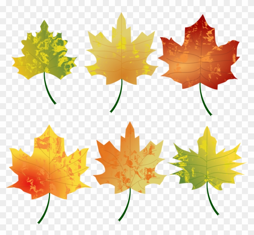 Clipart - Autumn Leaves - Autumn Leaves Clipart #759703