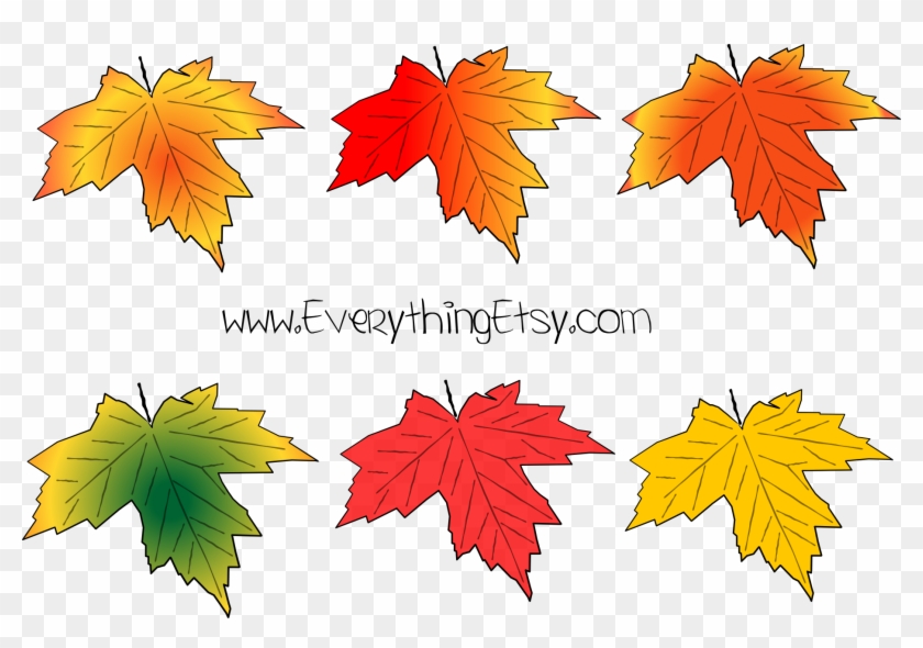 Fall Leaves Vector Graphic - Large Fall Leaves Printable #759720