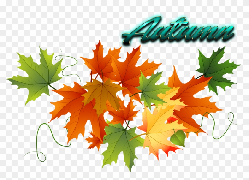 Autumn Leaves Free Png Image - Des Cadres Pour Des Certificats Cm2 #759756