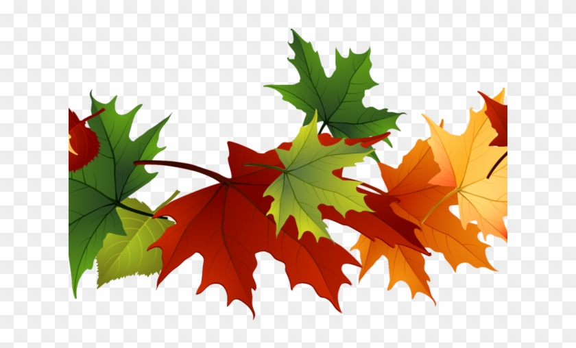 Leaves Clipart Transparent Background - Autumn Leaves Transparent Background #759886