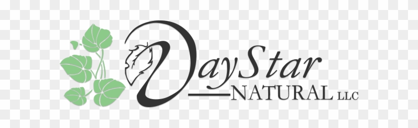 Llc Daystar Natural, - Albert Square Chop House #759908