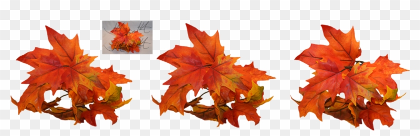 Autumn Leaf Color #759920