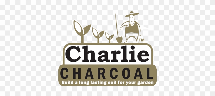 Charlie Charcoal - 11 Plus #760041