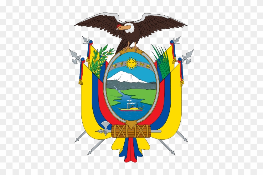 Coat - Draw The Ecuador Flag #760436