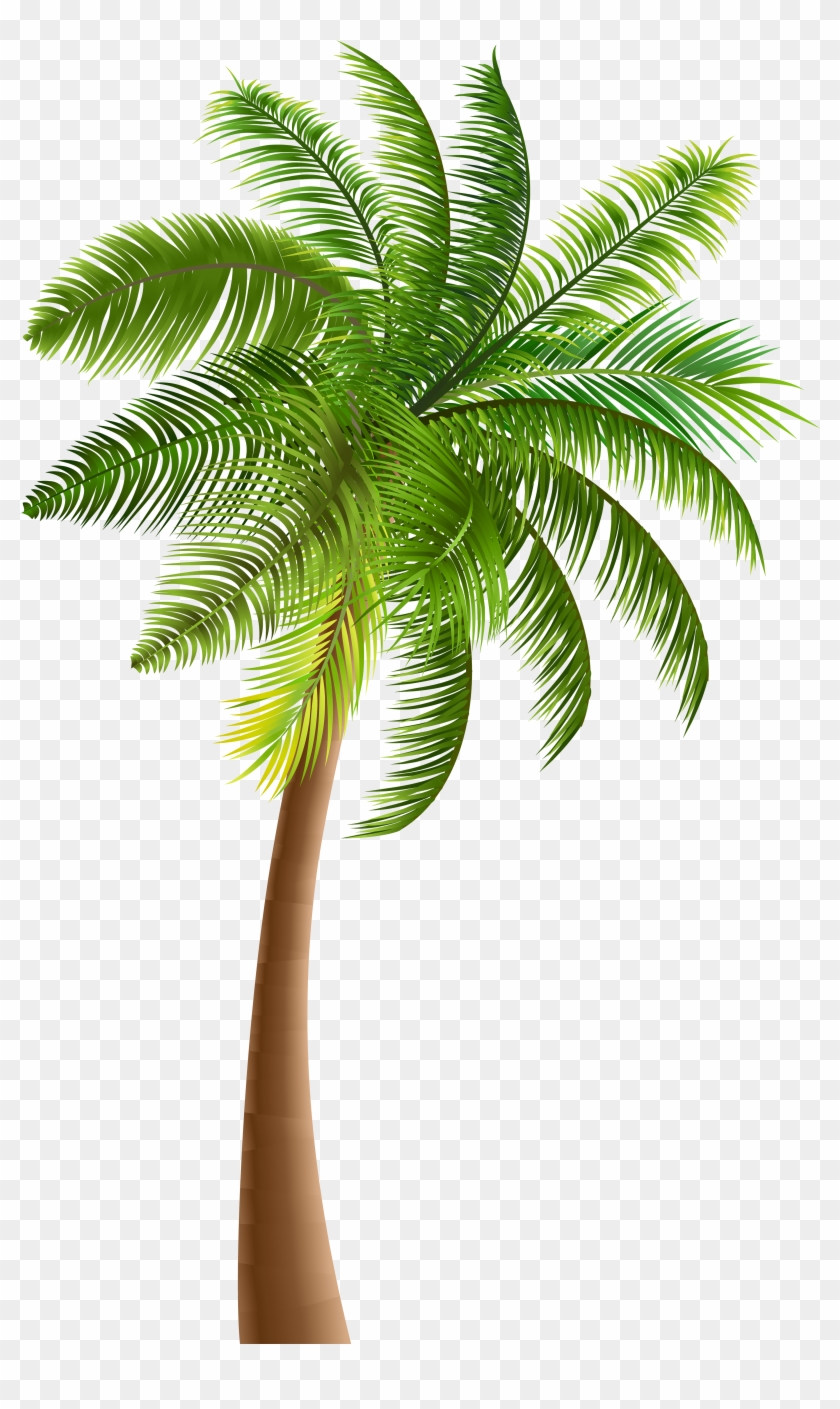 Palm Trees Clip Art - Palm Trees Clip Art #761473
