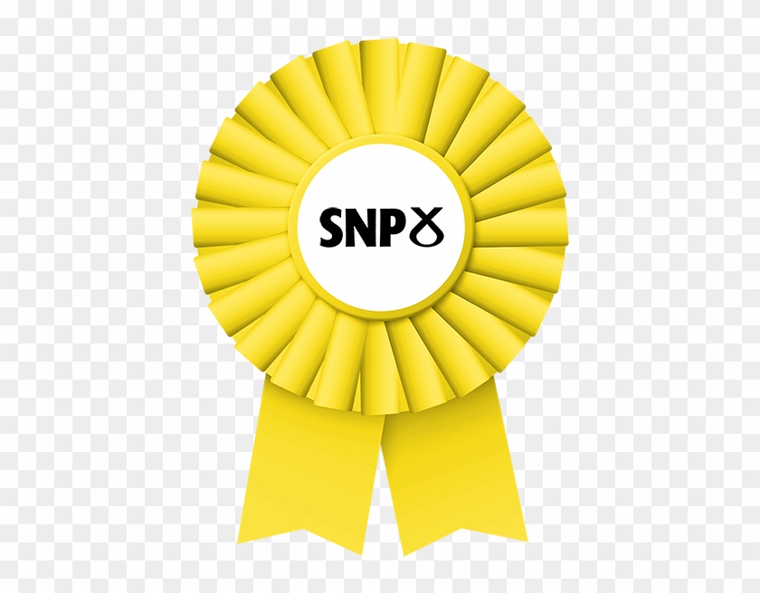 Read The Scottish National Party Easy Read Manifesto - Swimsuit #760829