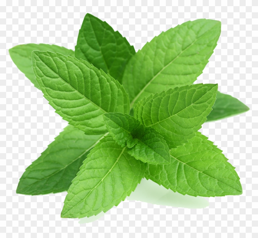 Real Leaves Transparent Png - Perennial Herb Mint Seeds #760887