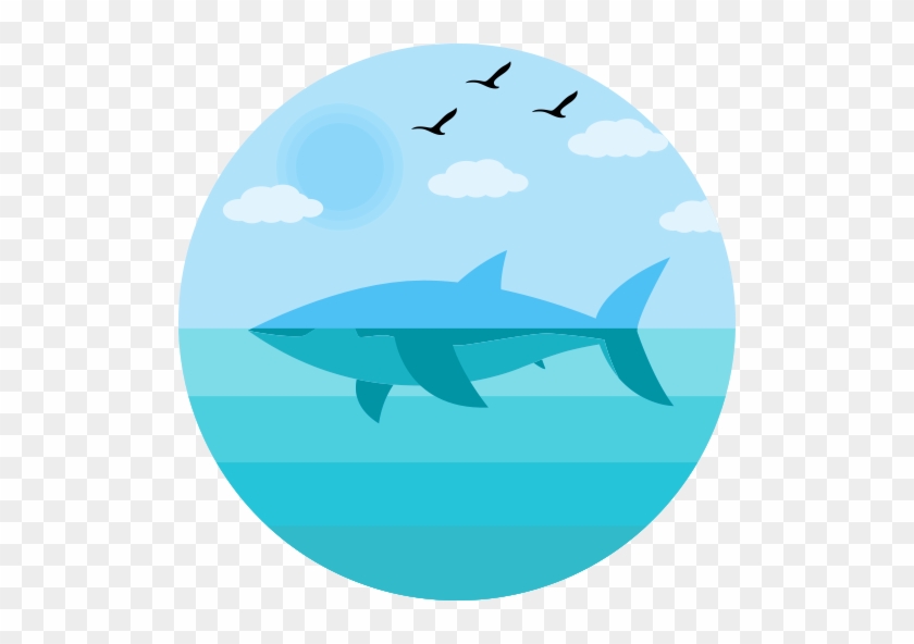 Flat, Multicolor, Shark Icon - Project Save The Oceans #760897