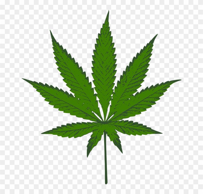 Marijuana Leaf Green Icons Png - Cannabis Vector #760899