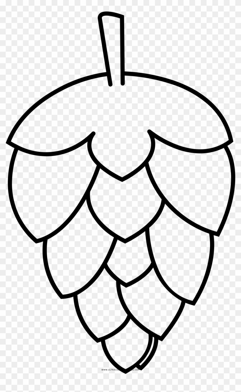 Hops Coloring Page - Hops Colorir Lupulo Dibujo Png #761000