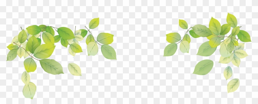 Transparent Png Leaf Image - Green Leaves Background Png #761085