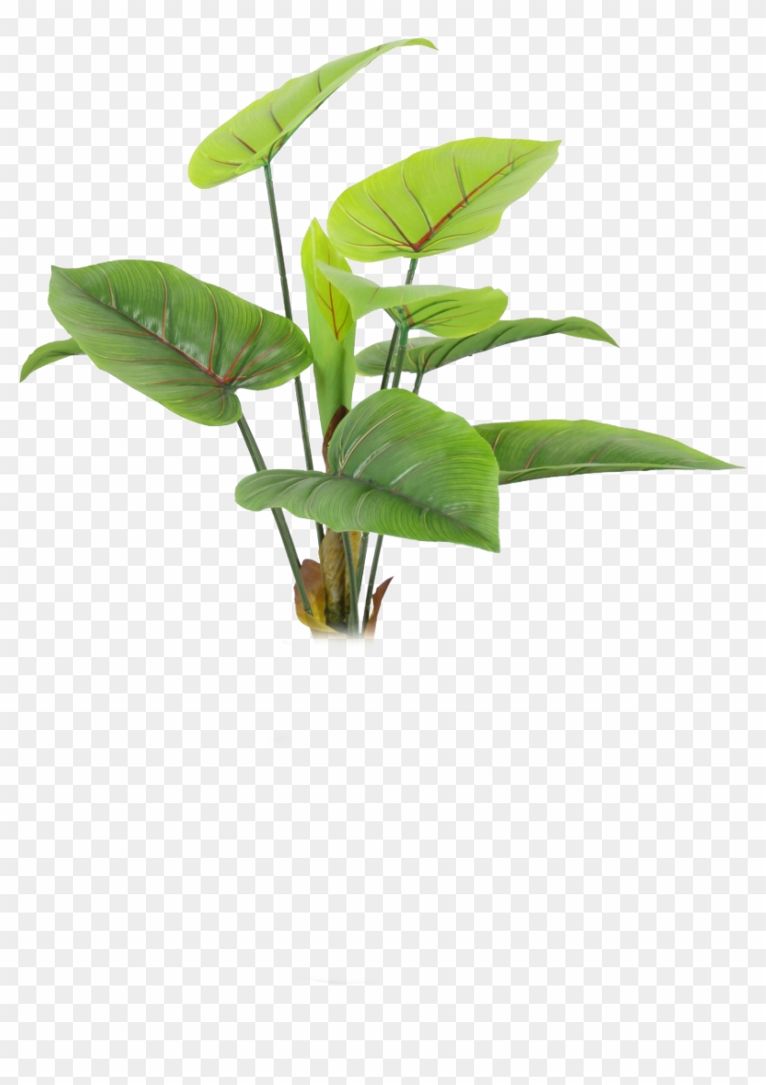 Green Leaf Transparent - Natural Plants Png #761087