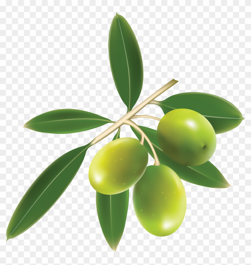 Green Olives Png - Olive Vector Free #761095