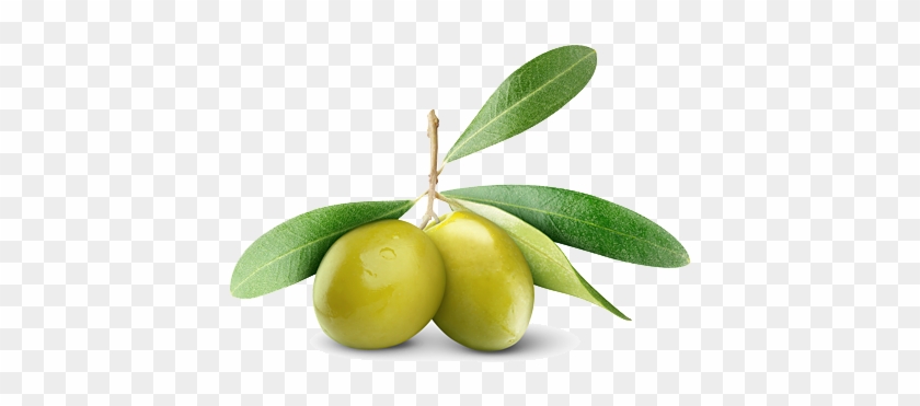100% Naturel - Barnier Green Olives, Picholines 8.8 Lbs #761100