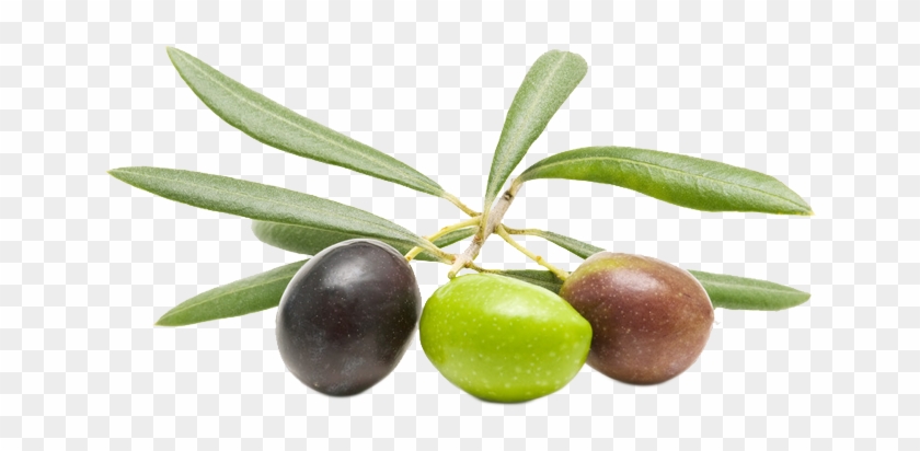 Olives And Happy Hearts - Olives Health Benefits #761102