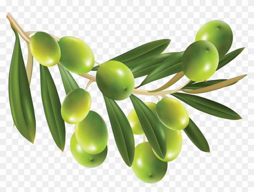 Green Olives Png - Olives Png #761104
