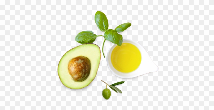 Avocado, Olive & Basil - Olive #761107