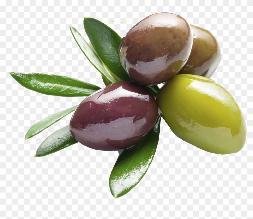 Olives Png Background Image - Olive Leaf Extract Benefits #761154