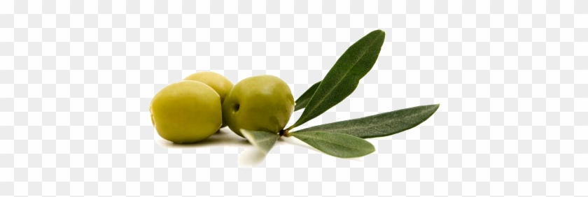 Antioxidánsokban Gazdag - Olive Pan #761170