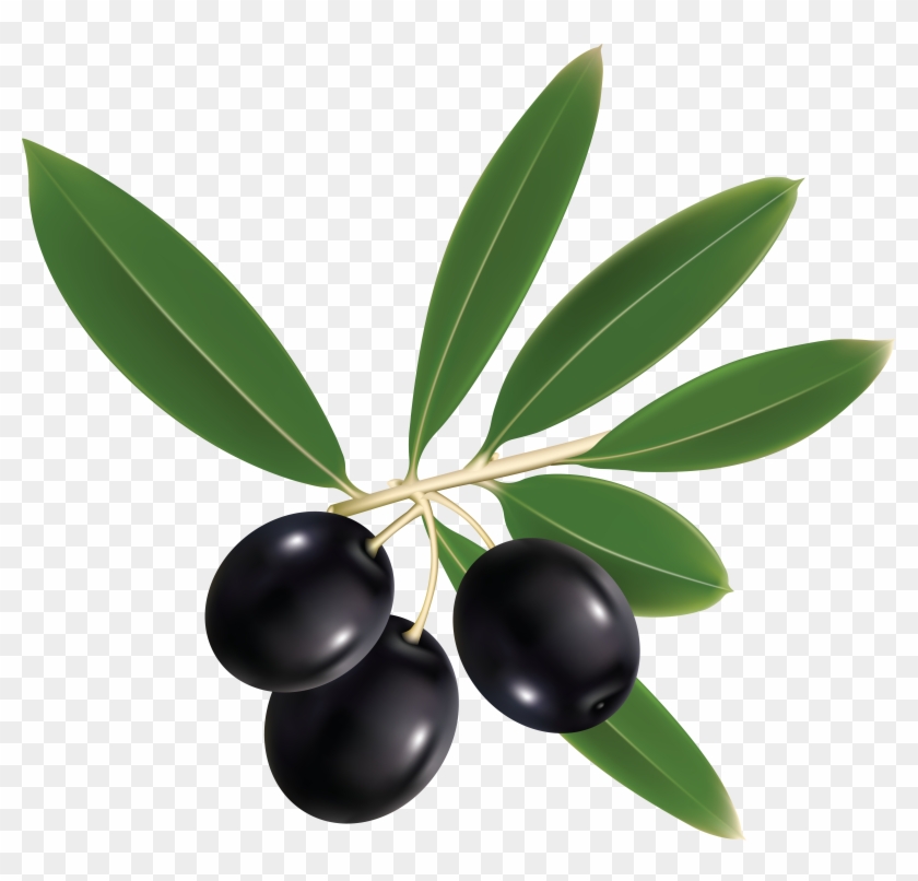 Olives - Olive Oil Label Png #761218