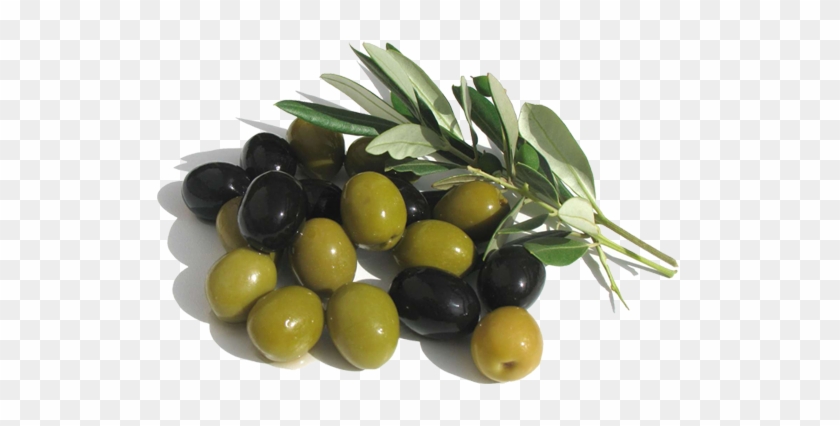 La Wilaya De Skikda Est Sur Une Excellente Production - Black Olive Health Benefits #761475