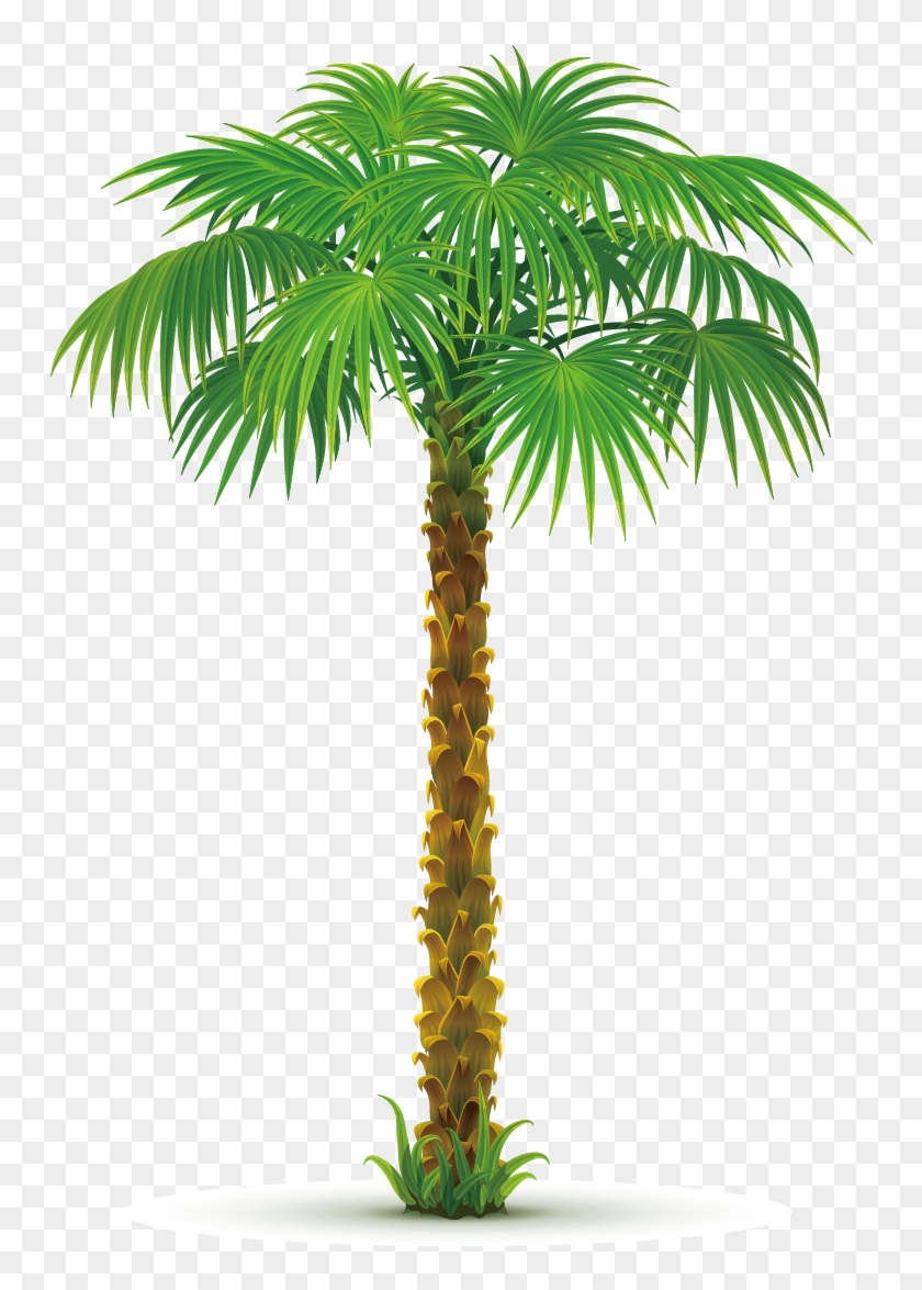 Arecaceae Tree Areca Palm Clip Art - Arecaceae Tree Areca Palm Clip Art #761592