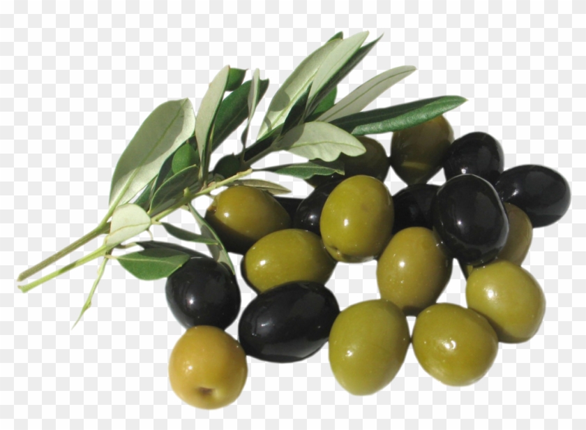 Olive Oil #761503