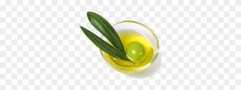 Olive Oil Png Pic - Rose Water Olive Oil #761509