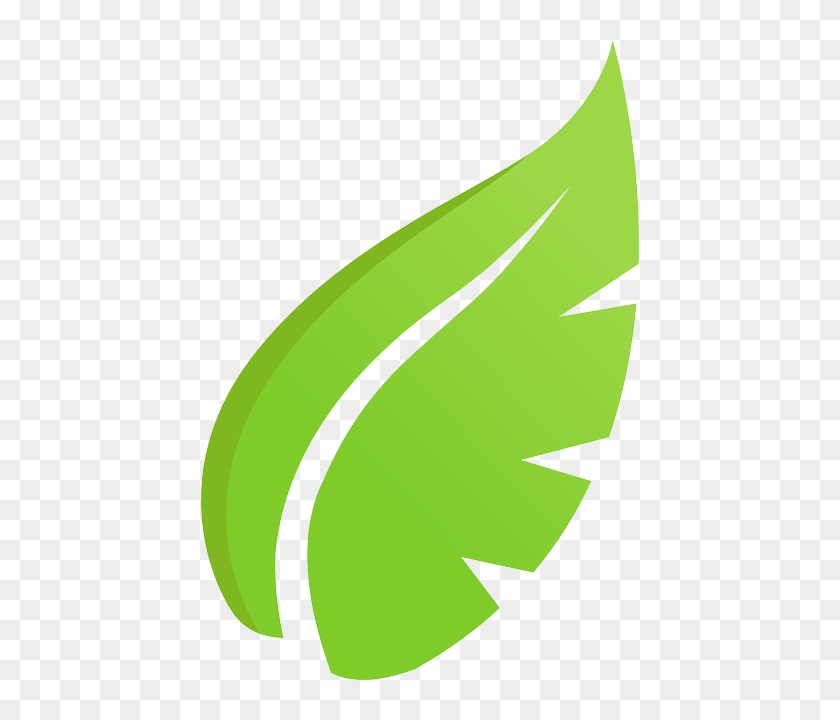 Ecology Leaf, Plant, Green, Ecology - Ecology #761541