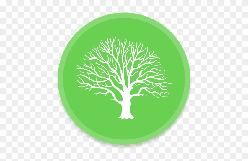 An Image Of An Abstract Family Tree Icon - Tree #761881