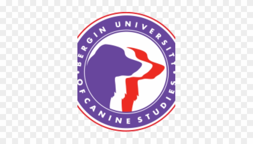 Founding At The Bergin University For Canine Studies - Bergin University #761926