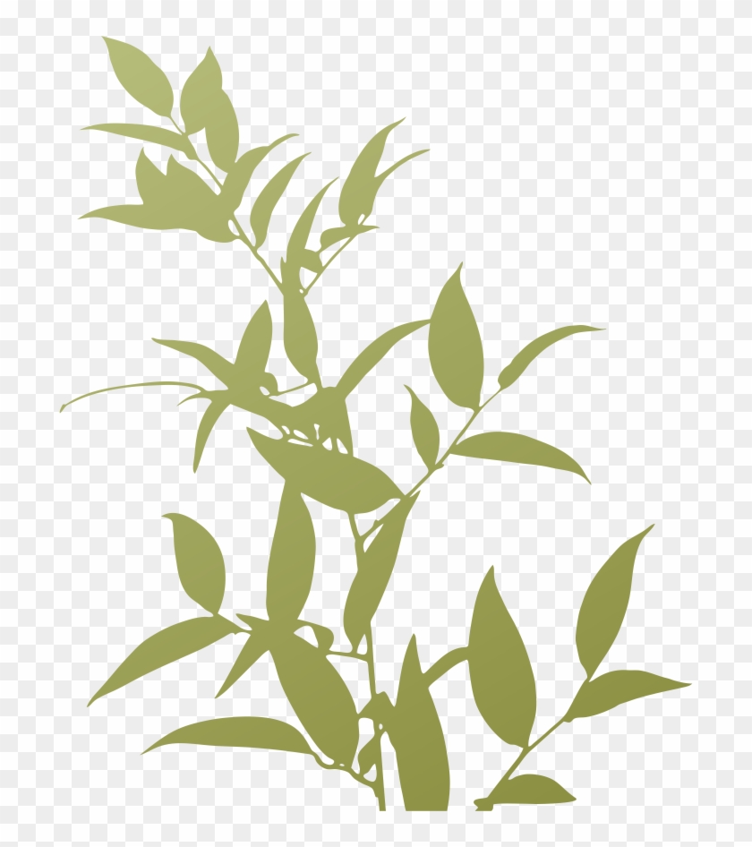 Plants Trivia Silhouette - Plants Trivia Silhouette #761995