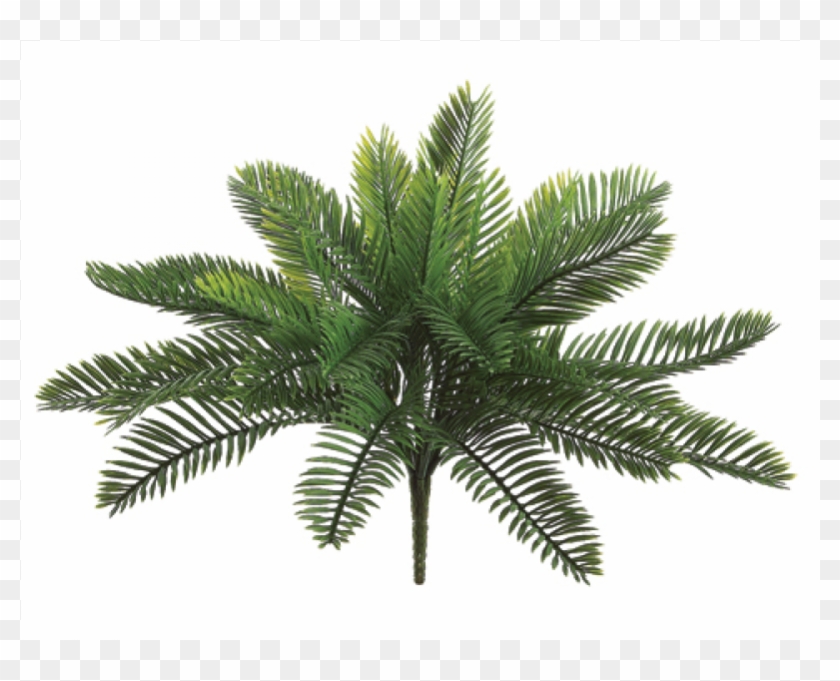18" Plastic Cycas Palm Bush With 30 Leaves Green - Silk Plants Direct Cycas Palm Plant - Green - Pack #762134