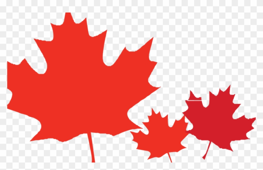 Maple Leaf On April 17, 1982, Canada Reached A Milestone, - Maple Leaf #762145