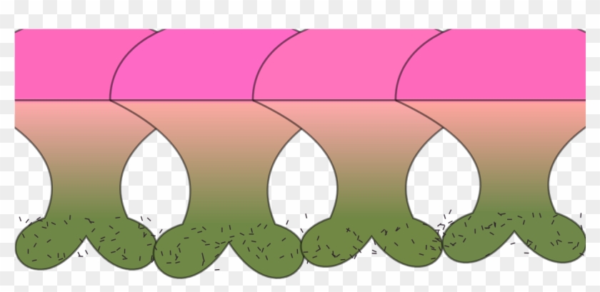 48107551 - Grass #762168