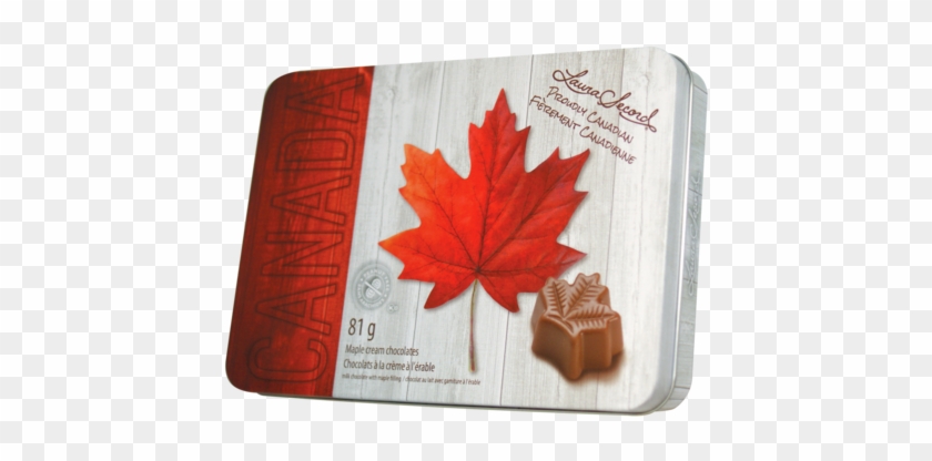 Maple Cream Chocolates - Canadian Maple Leaf Chocolates #762203