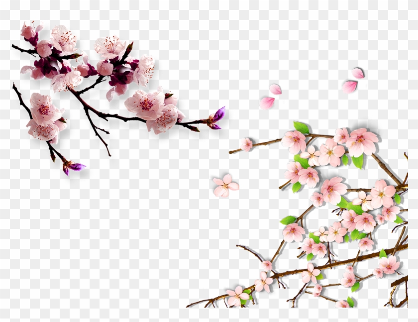 Lucerne China Cherry Blossom Hanami Plum Blossom - Cherry Blossoms Background Png #762243