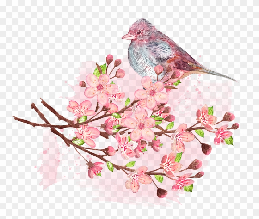 Tips For Cherry Blossom Viewing - Bird #762258