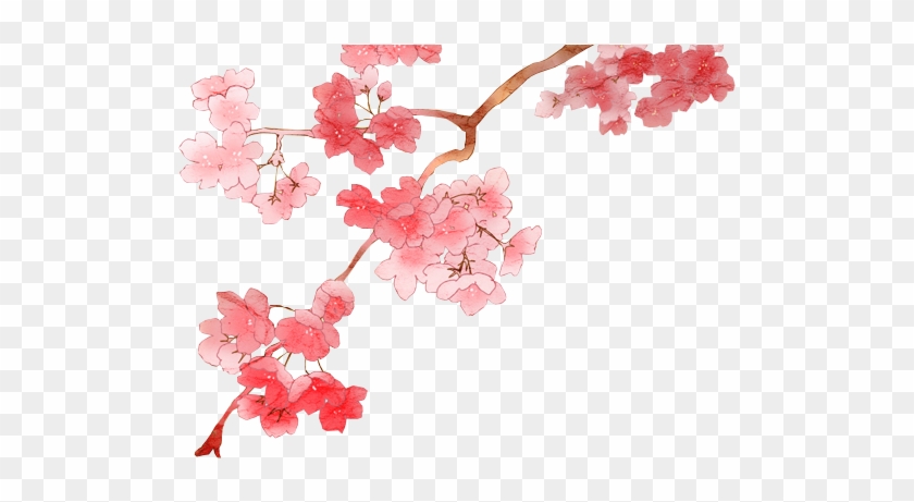 Best Cherry Blossom Png Clipart - Cherry Blossom Png Transparent #762260
