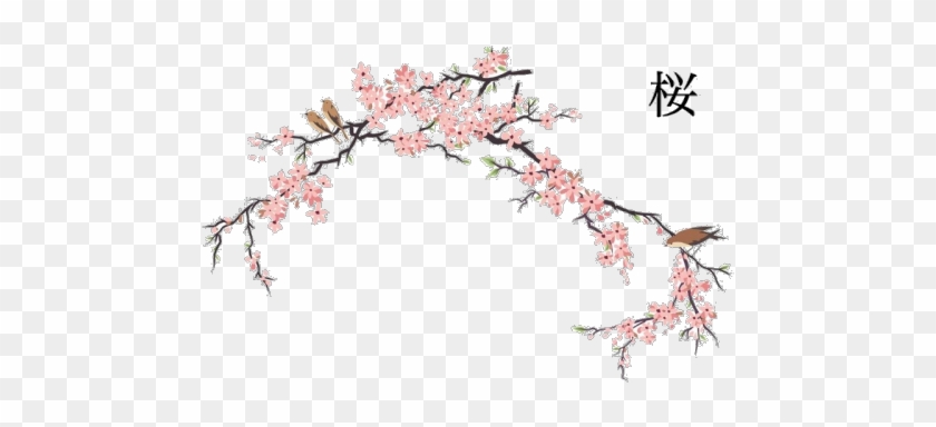 Credits To The Owner - Japan Cherry Blossom Art #762276