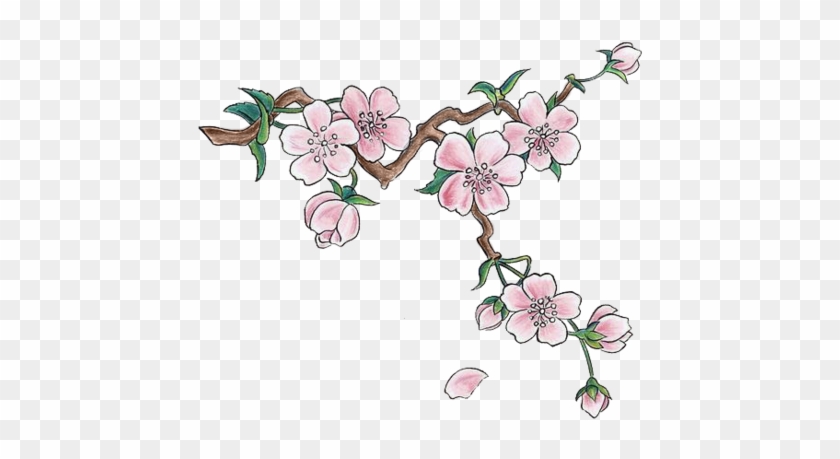 Com, Cherry Blossoms And A Waterfall - Japanese Cherry Blossoms Drawing #762356